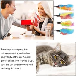 Veer, kattenspeelgoed, kattenhengelveer, kattenvissen, stabiel, interactief kattenspeelgoed, interactief kattenspeelgoed voor kittens (4 stuks + 2 stuks) — thumbnail 4
