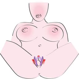 You2Toys – Licht Flexibele Schaamlip Spreider Geribbeld en Vrij Toegankelijk Verstelbaar – 28 cm - Paars — thumbnail 5