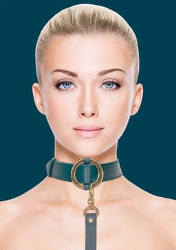 Luxurious Collar with Leash — thumbnail 5