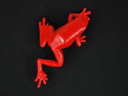 Rode kikker rubberen broche aardbei kikker dendrobates pumilio pijl gifkikker boomgaars rood giftige kikker regenwoud dendrobaten - handgemaakte modesieraden I reversspeld button pinnen — thumbnail 5