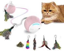 kattenspeelgoed met stemactivering en 4 reserveveren, elektrische