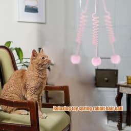Speelset voor Katten, 3 Stuks Kattenspeelgoed Zelf Hangend Deurframe voor Binnen met Zuignap, 8 Stuks Kleurrijke Plastic Spiraal Veren Kattenspeelgoed — thumbnail 4