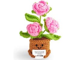 Positieve Cadeau Set - Creatieve Verrassing - Handgemaakte Kwaliteit - Uniek Moederdag Geschenk - 60 g - Rose