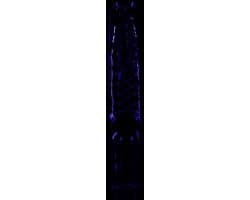 Pleaser - XTREME-1020TT Plateau Laarzen, Paaldans schoenen - Paaldans schoenen - 44 Shoes - Zwart/Roze — thumbnail 2