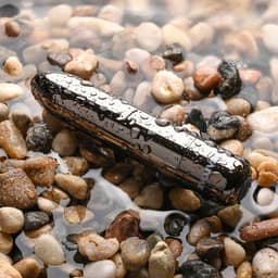 Evolved - Real Simple Bullet Vibrator - Black Chrome — thumbnail 3
