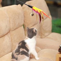 Set van 6 veren toverstokken voor katten - variabele kleur - gekleurde veren - voor katten en kittens — thumbnail 5