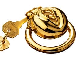 Adultshop - Mini Peniskooi de Gouden Poes - Pussy Kuisheidskooi Incl. Sleutel - opgesloten opwinding