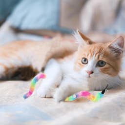 Toverstaf voor katten, vervanging, navulaccessoires voor kattenstok, regenboog-2 — thumbnail 4
