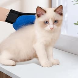 Washandschoen voor katten, kattenhandschoenen, borstel van siliconen, kattenborstel, hondenborstel, verzorgingshandschoen voor huisdieren, premium massagehandschoen voor — thumbnail 2