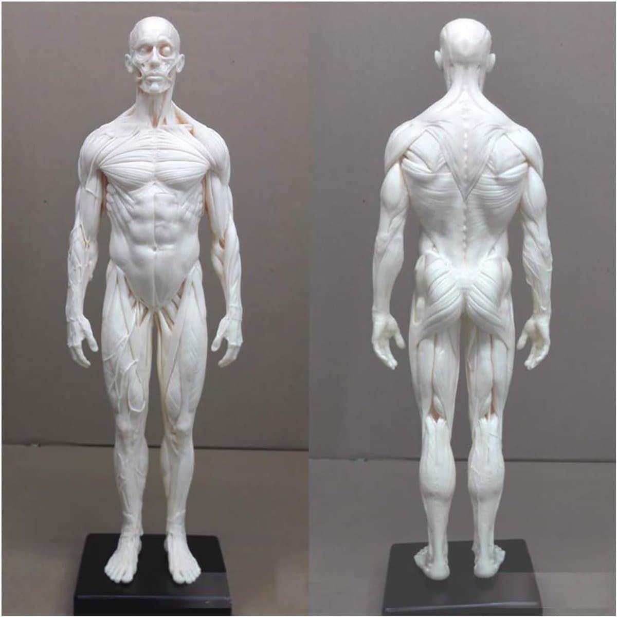 Anatomie Figuren - Menselijk Lichaam Model - Tekenen Studeren - Half Spier Half Huid - 28-30 cm - Ongeverfd — afbeelding 1