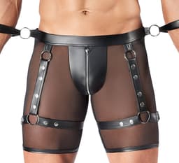 Men's Harness AND Pants XL — thumbnail 3