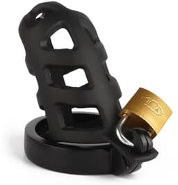 Brutal Chastity Cage — thumbnail 4