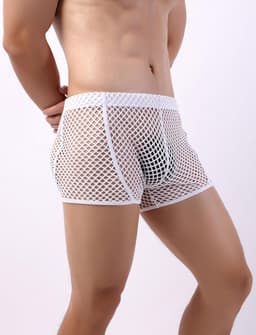 Heren Sexy Transparante Boxershorts Netstof Elastisch Ondergoed Pouch Slips — thumbnail 4