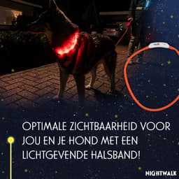 Nightwalk Safety Collar - Verlichting hond - Lichtgevende halsband - LED - Oplaadbaar - Waterdicht - One size - Oranje — thumbnail 3