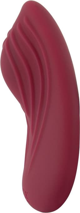 Panty Vibrator - Oplaadbare Clitoris Vibrator met Afstandsbediening en 10 Standen - Panty Vibrator voor Clitorisstimulatie met Afstandsbediening - Bordeaux — thumbnail 3