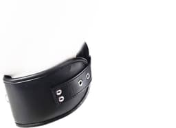 BNDGx® - Extreme BDSM Grote halsband - Brede nek band nep leer SM kleding — thumbnail 3