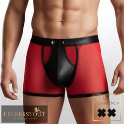2-Pack BDSM Boxershorts Laklook en Mesh met Drukknoopsluiting - Sexy Herenondergoed - Maat XL | LS266 — thumbnail 2