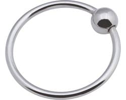 Banoch | Glansring Veronica Ø 40 mm | zilverkleurige metalen eikelring | cockring