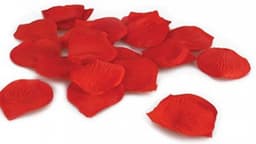 Shots Touché Erotische versiering Touché Rose Petals rood — thumbnail 2