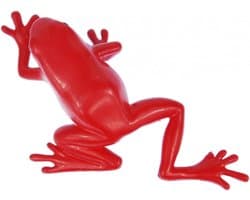Rode kikker rubberen broche aardbei kikker dendrobates pumilio pijl gifkikker boomgaars rood giftige kikker regenwoud dendrobaten - handgemaakte modesieraden I reversspeld button pinnen