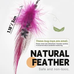 Kattentoverstaf speelgoed vervanging - 12 stuks insecten kat veer speelgoed vullingen, teaser toverstaf hulpstukken, interactief speelgoed voor binnenkatten kittens — thumbnail 3