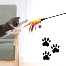 Set van 6 veren toverstokken voor katten - variabele kleur - gekleurde veren - voor katten en kittens — thumbnail 2