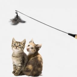 8 stuks veerspeelgoed voor katten, interactief speelgoed voor katten met reserveveren, speelgoed voor katten, veren, interactief speelgoed voor katten en kittens — thumbnail 2