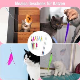 13 stuks kattenspeelgoedset, interactieve kattenspeelgoedveren, kattenhengel met 2 stuks inschuifbare, 11 kattenspeelgoed, reserveveren, zelfbezigheid met veer/bug/visbel — thumbnail 3