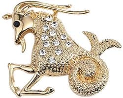 Broche met sterrenbeeld Steenbok van verguld staal., Roestvrij staal