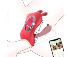 Daity Vibrator met afstandsbediening via app voor stellen, seksspeeltjes voor volwassenen, vibrator voor in de slip met konijnenstimulator voor G-spot, clitoris en penis, seksspeeltje voor vrouwen