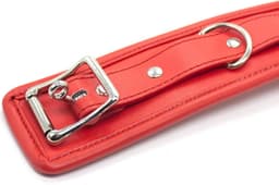 Banoch - Collar & leash Red - Halsband en Riem - Rood met zilver - bdsm — thumbnail 3