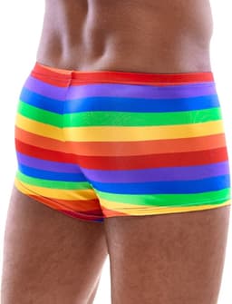 Kleurrijk Regenboog Shorts Mannen — thumbnail 6