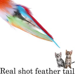 Kattenspeelgoed Realistische Vogel Kitten Achtervolging Bungelend Speelgoed Zachte Veer Handgemaakt Imitatie Mus Simulatie Papegaai Stimuleert Huisdierinstincten (Oranje) — thumbnail 3