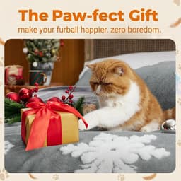 10 stuks kattenhengelreserveren, kattenveerspeelgoed van natuurlijke veren, veer kattenhengelhanger voor interactief spel, beweging en binding, voor kittens, volwassen en oudere katten — thumbnail 3