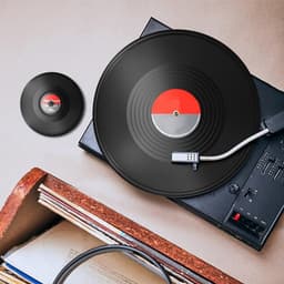 Vinyl Platen Reiniger - LP Reinigingsset - Schoon Geluid - Label Bescherming - 12 inch - Zwart — thumbnail 3