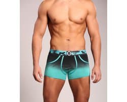 Heren Boxershort | Turquoise | Lion | Maat L