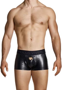 MODUS VIVENDI Prince Albert Bottomless Boxer - MAAT L - Erotisch Heren Ondergoed - Boxershort voor Man - Sexy mannen Boxershort — thumbnail 6