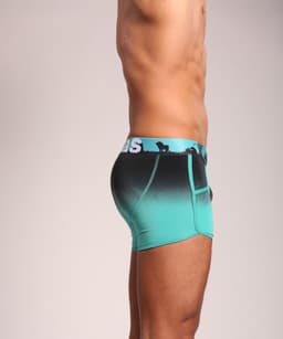 Heren Boxershort | Turquoise | Lion | Maat L — thumbnail 5
