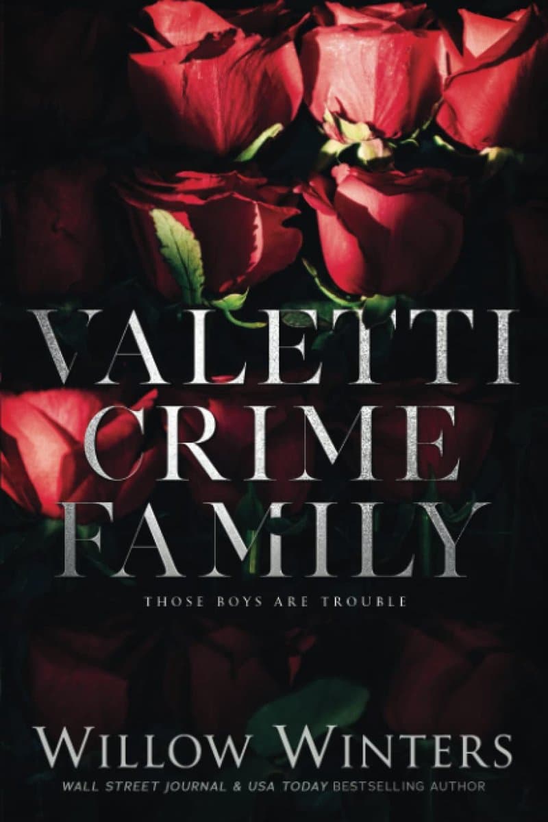 Contemporary Romance Boxset met Bad Boys — afbeelding 1