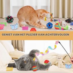 30 stuks kattenspeelgoedset, kattenspeelgoed, muizenballen, verenspeelgoed, pluche speelgoed, interactief kattenaccessoire voor katten, kattenaccessoires — thumbnail 5