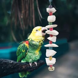 Dnoifne 2pcs Bird Toys with Cut Bone - Parakeet Cage Accessories with Beak Grinding Stone - ShopVlot — thumbnail 3