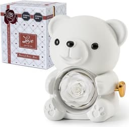 Romantische teddybeer met geconserveerde roos en hartvormige halsketting - Perfect cadeau voor Valentijnsdag, Moederdag en bruiloften — thumbnail 1