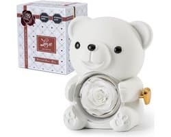 Romantische teddybeer met geconserveerde roos en hartvormige halsketting - Perfect cadeau voor Valentijnsdag, Moederdag en bruiloften