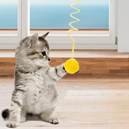 2-delige kattenspeelset met veren, geschikt om op te hangen aan deuren, ramen, stoelen en andere plaatsen, zodat katten naar hartelust kunnen spelen — thumbnail 3