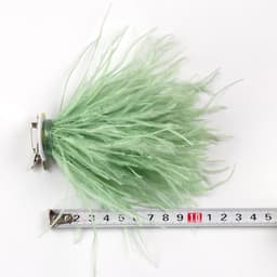 Veren, korsetten, stoffen decoraties, struisvogelveer-materiaal, brochespennen, veer-pins voor dames en heren, Detailgröße in den Bildern, veer — thumbnail 3