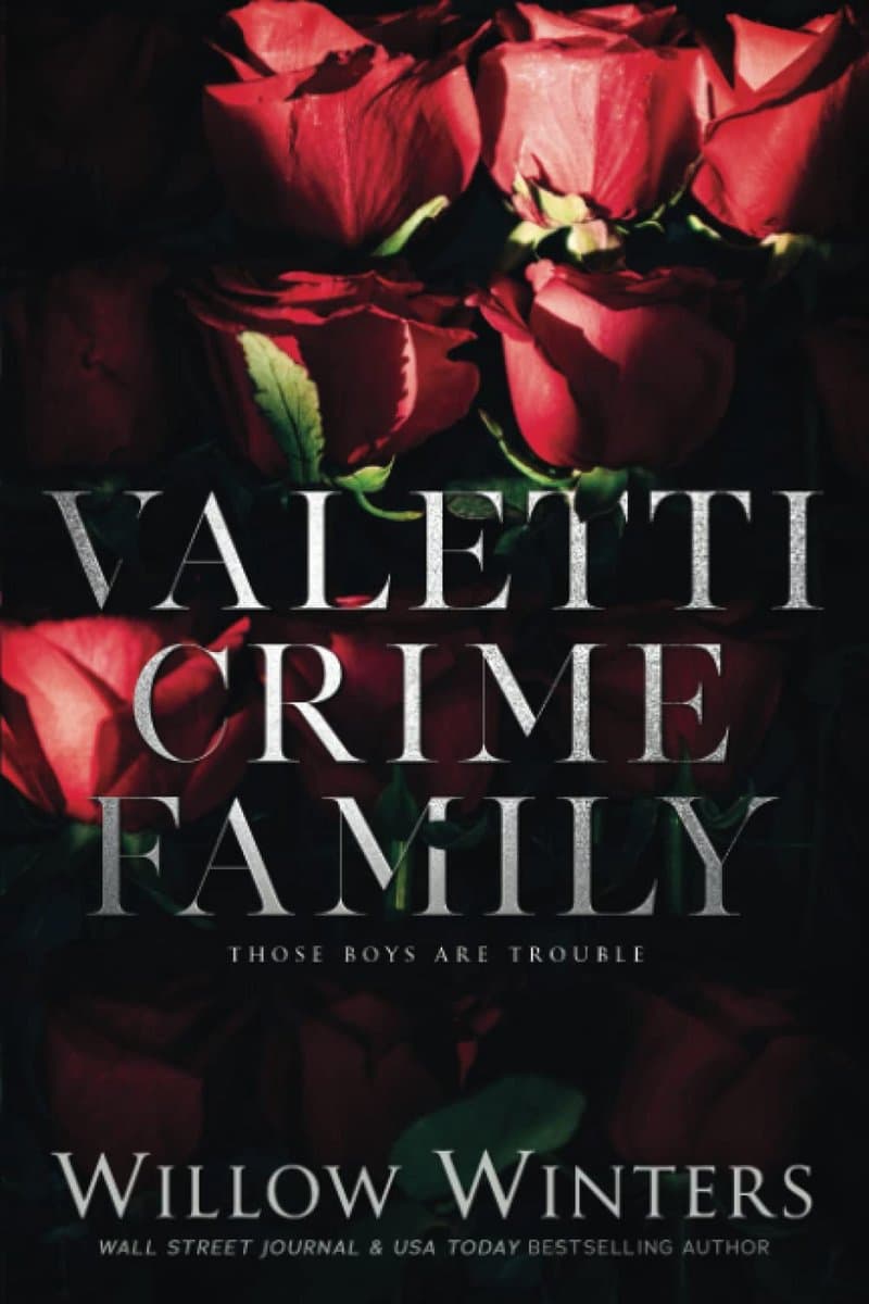 Contemporary Romance Boxset met Bad Boys — afbeelding 1