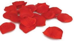 Shots Touché Erotische versiering Touché Rose Petals rood — thumbnail 5