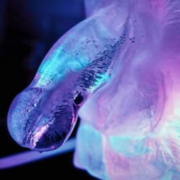 Giant Penis Ice Vormer Voor Drankjes — thumbnail 3