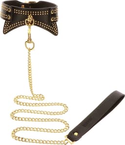 Studded Collar and Leash — thumbnail 9
