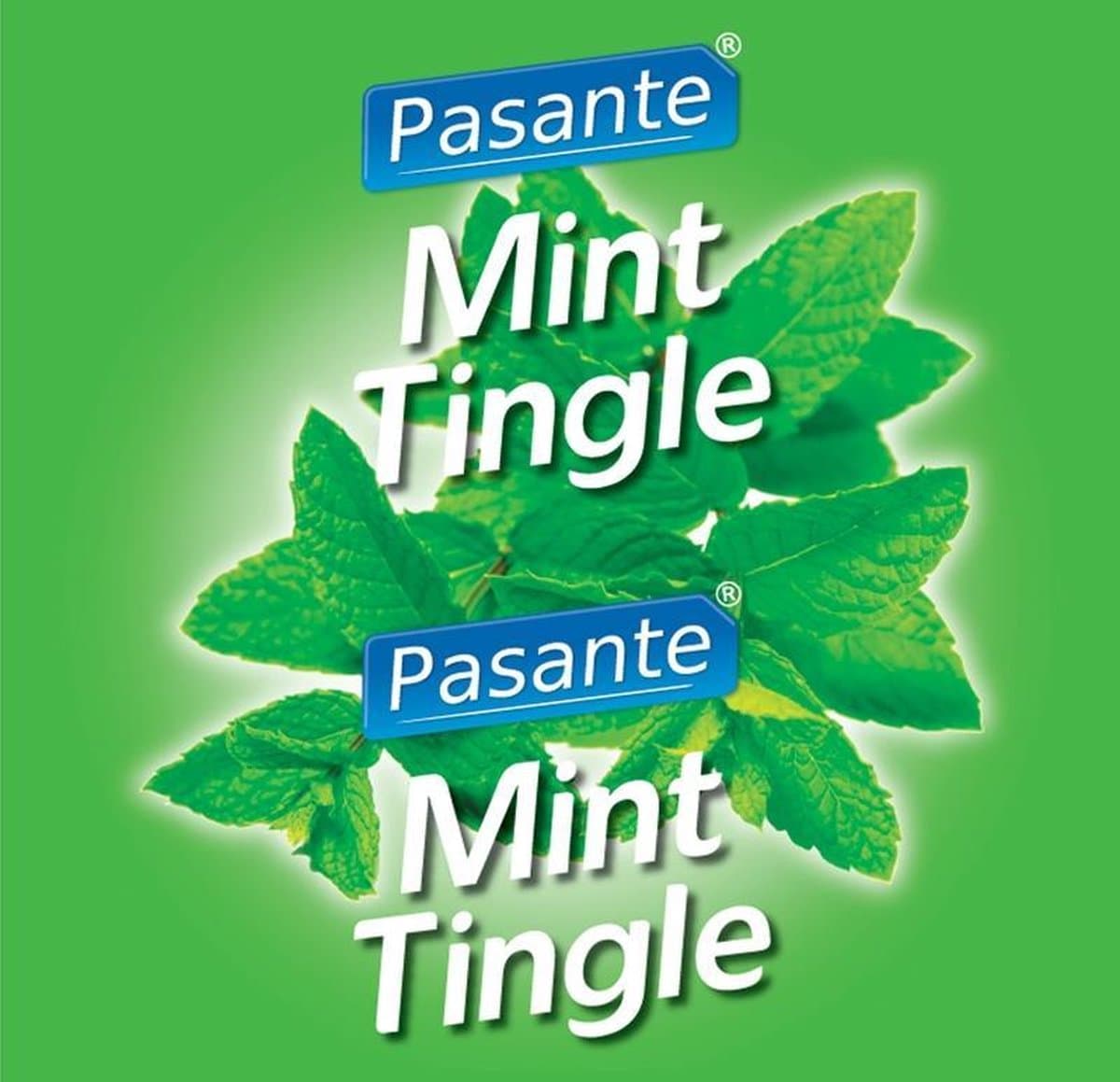 Pasante Mint Flavour Condooms 144 stuks — afbeelding 1